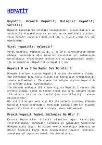 HEPATİT,HEPTİT E