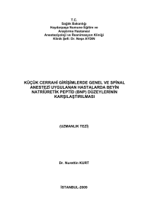 küçük cerrahi girişimlerde genel ve spinal anestezi uygulanan