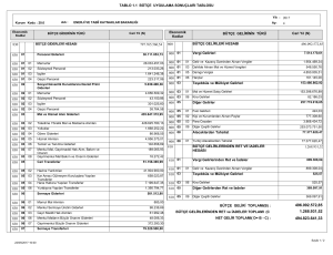 1.1 Bütçe Uygulama Sonuçları Tablosu