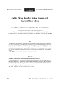 09. Talasemi C4+ - International Journal of Hematology and Oncology