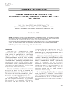 Genotoxic Evaluation of the Antibacterial Drug