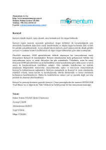 Karayel - Turkey Cleantech Open Accelerator