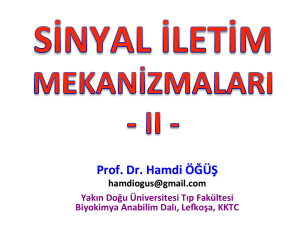 Prof. Dr. Hamdi ÖĞÜŞ