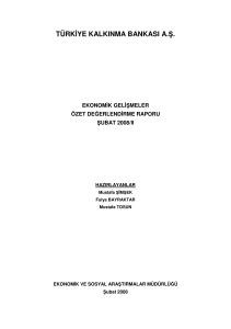 Ekonomik Gelişmeler Özet Değerlendirme Raporu, Şubat 2008-II