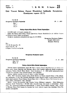 Eski Ticaret Bakanı Zeyyat Mandalinci hakkında Soruşturma