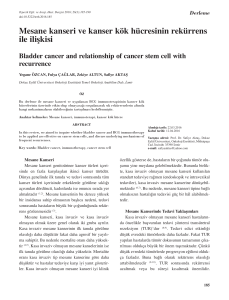 Mesane kanseri ve kanser kök hücresinin rekürrens ile ilişkisi