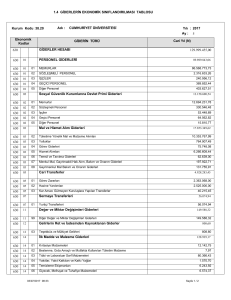 1.4 giderlerin ekonomik sınıflandırılması tablosu