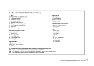 KARASAL FAUNA TABLOSU LEJANDI