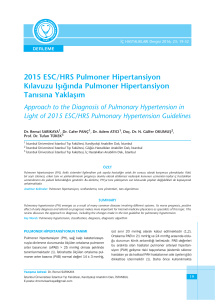 Approach to the Diagnosis of Pulmonary Hypertension in Light of