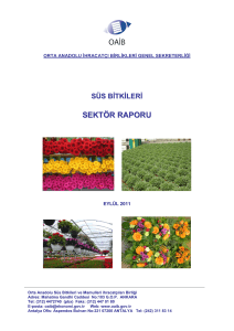 sektör raporu - Orta Anadolu Süs Bitkileri ve Mamulleri İhracatçıları