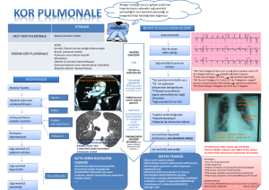 ETYOLOJİ AKUT KOR PULMONALE KRONİK KOR PULMONALE