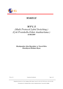 MAKELE M P L S (Multi Protocol Label Switching ) (Çok Protokollu