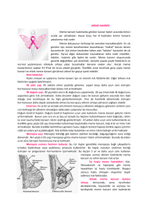 MEME KANSERİ Meme kanseri kadınlarda görülen kanser tipleri