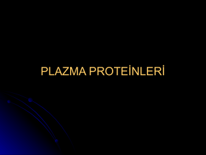 plazma proteinleri - E