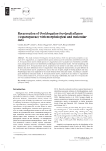 (Asparagaceae) with morphological and molecular data