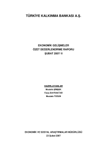 Ekonomik Gelişmeler Özet Değerlendirme Raporu, Şubat, 2007 -II