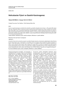 Helicobacter Pylori ve Gastrik Karsinogenez