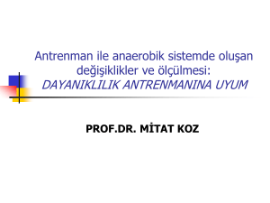 antrenmana uyum - Ankara Üniversitesi Açık Ders Malzemeleri