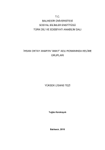 tc balıkesir üniversitesi sosyal bilimler enstitüsü türk dili ve edebiyatı