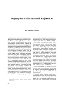 Tam Metin PDF - JournalAgent