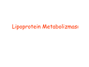 Lipoprotein metabolizması ve bozuklukları