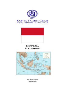 endonezya ülke raporu