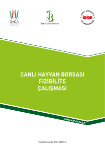 canlı hayvan borsası fizibilite çalışması