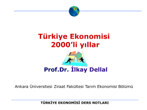 Economic Impact of Climate Change in Turkey