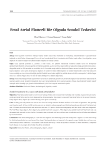 Fetal atrial 1056