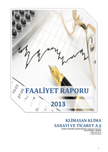2013 faaliyet raporu