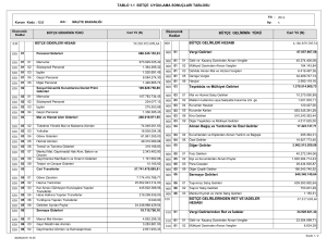 TABLO 1.1 BÜTÇE UYGULAMA SONUÇLARI TABLOSU 4.186