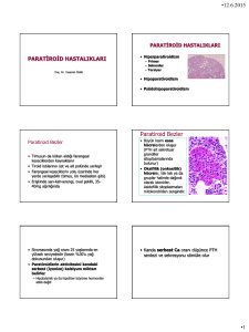 paratiroid hastalıkları