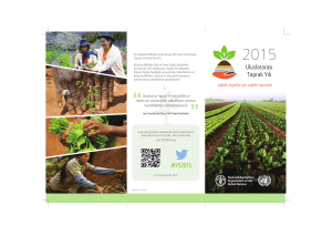 IYS2015 - Food and Agriculture Organization of the United Nations