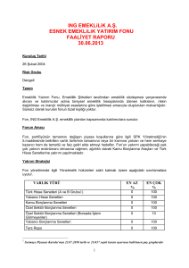 emeklilik fonları faaliyet raporu formatı