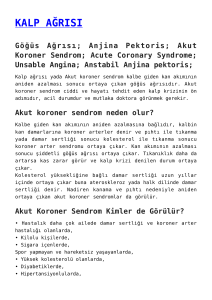 kalp ağrısı,cpk izoenzimleri,koroner risk testi,yüksek kolesterol