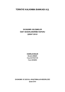 Ekonomik Gelişmeler Özet Değerlendirme Raporu,Şubat 2010-I