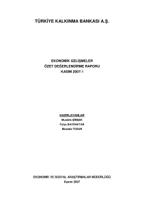 Ekonomik Gelişmeler Özet Değerlendirme Raporu, Kasım 2007-I