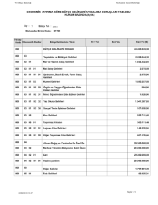EKONOMİK AYIRIMA GÖRE BÜTÇE GELİRLERİ UYGULAMA