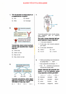 kanın vücutta dolaşımı