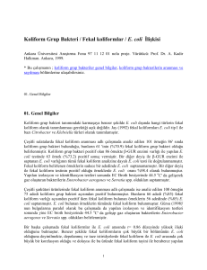 Koliform Grup Bakteri / Fekal koliformlar / E. coli
