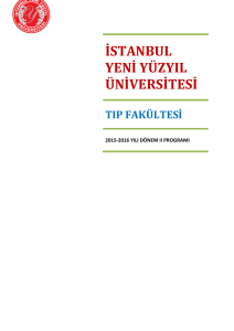 istanbul yeni yüzyıl üniversitesi