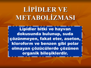 lipidler ve metabolizması