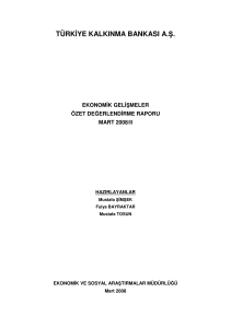 Ekonomik Gelişmeler Özet Değerlendirme Raporu, Nisan 2008-I