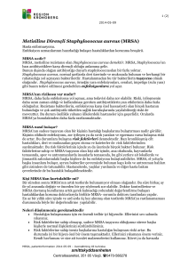Patientinformation, MRSA, översättning till turkiska
