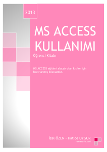 ms access kullanımı