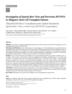 Investigation of Epstein-Barr Virus and Parvovirus