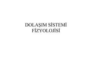 (Microsoft PowerPoint - DOLA\336IM S\335STEM\335 F\335ZYOLOJ