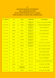 tc bilecik şeyh edebali üniversitesi sosyal bilimler enstitüsü 2016