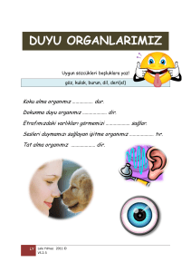 Duyu organlarimiz - Schule mehrsprachig