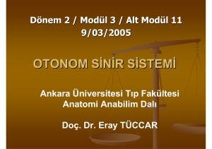 OTONOM SİNİR SİSTEMİ